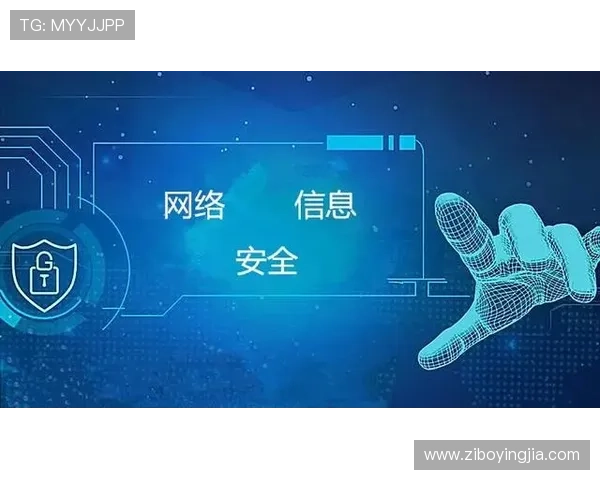 开云网页版登录入口及安全保障措施，确保用户体验与数据安全性同步提升