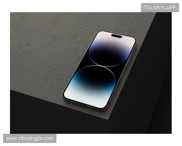 开云手机网页入口安全性分析及提升用户体验的方法