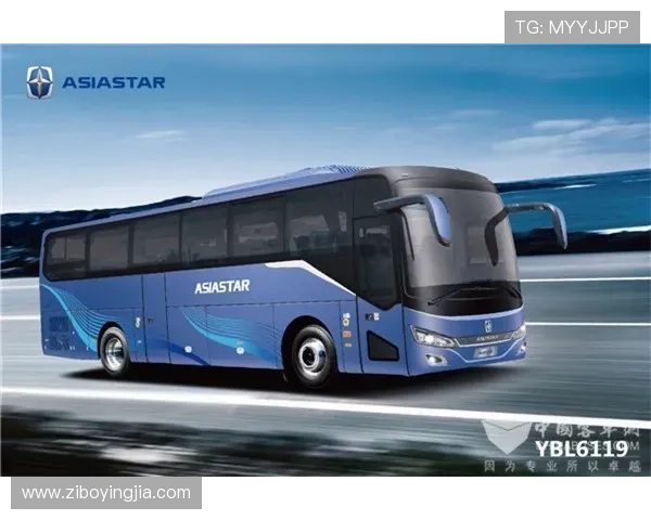 亚星官网868产品介绍与购买指南全方位解析