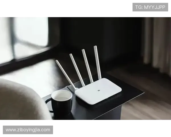 亚星官网平台登录账号密码忘记怎么办以及账户安全保护措施