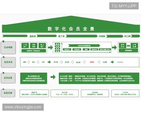 亚星登录管会员,优化会员管理流程提升企业运营效率 亚星登录管会员,优化会员管理流程提升企业运营效率